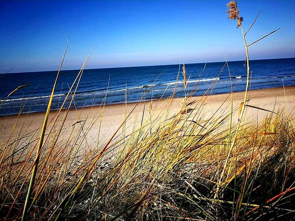 Dianos Apartamentai Palanga Eksteriør billede